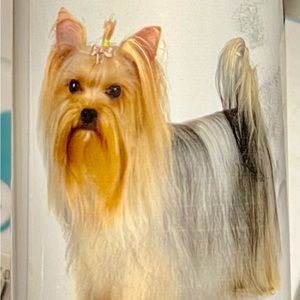 Yorkies small breed natural hot spot treatment spray